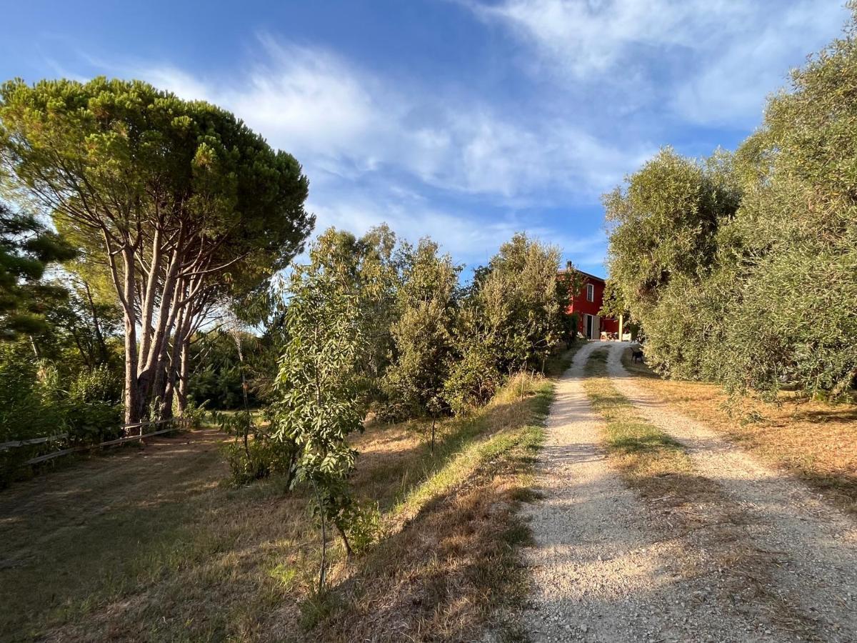 Podere Orzale Farmhouse Bed & Breakfast Usigliano Exterior photo